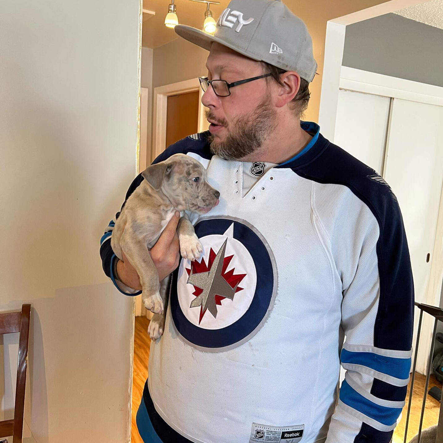 American bully testimonial