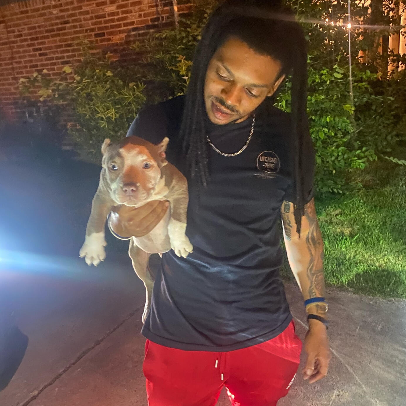 Pocket American bully